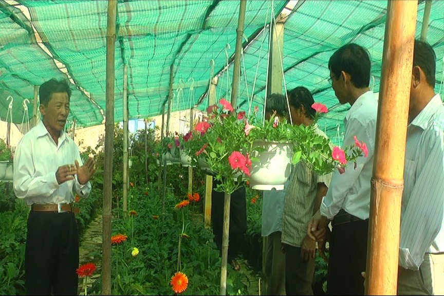 Hội thảo đánh giá hiệu quả mô hình phân bón qua lá thủy phân từ Trùn Quế