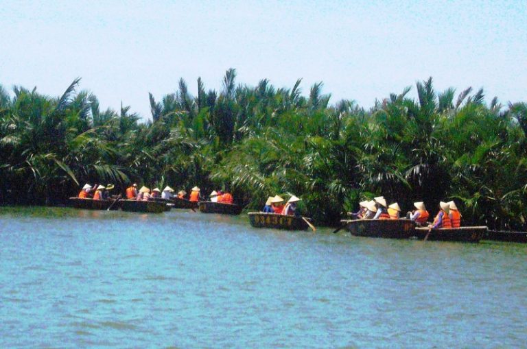 Bảo tồn rừng dừa nước Cẩm Thanh: Chia sẻ trách nhiệm và lợi ích cộng đồng